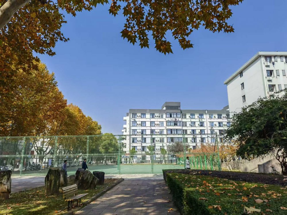 十六載歸程 母校秋意暖